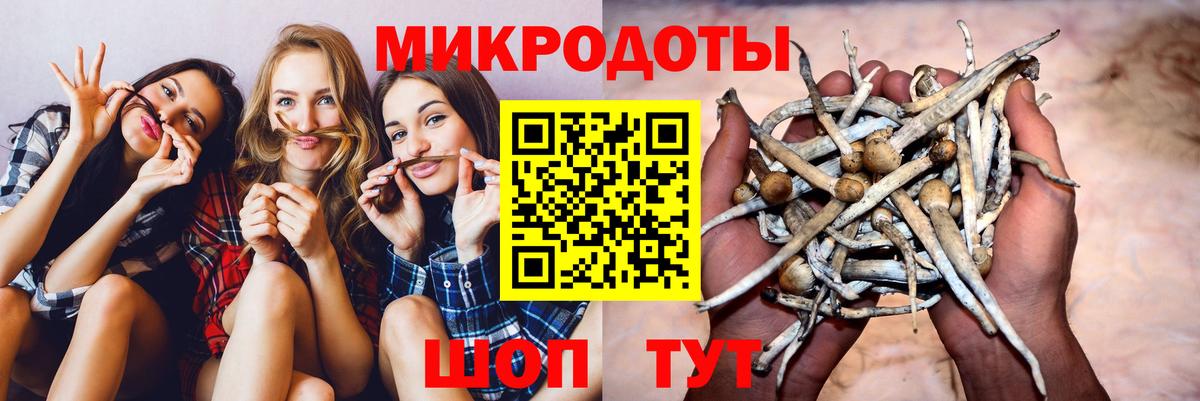Галлюциногенные грибы прущие грибы Гудермес