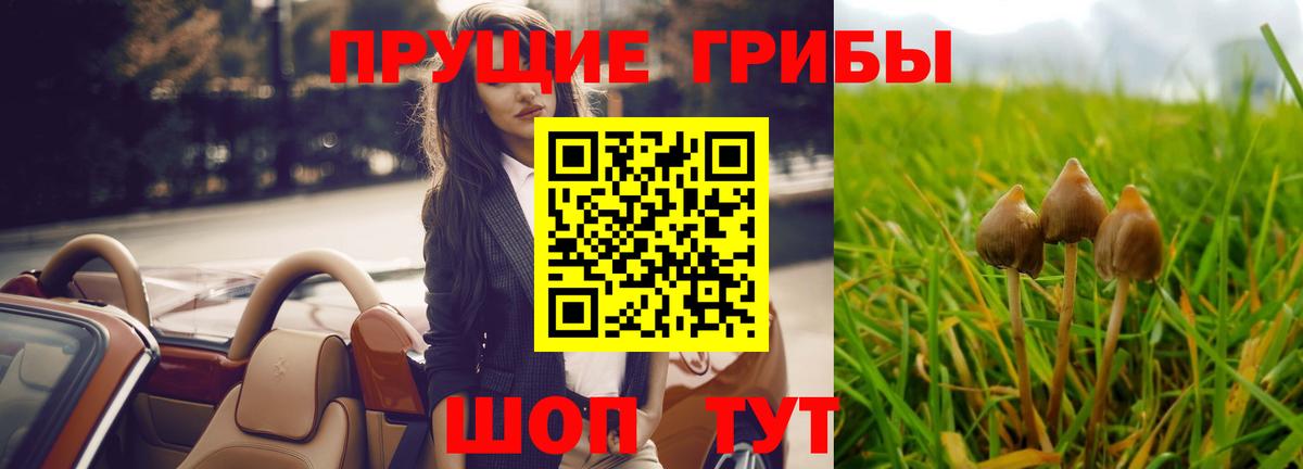 Галлюциногенные грибы мухоморы  Вход с VPN  Гудермес 